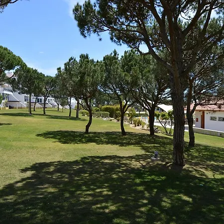 Apartman In *